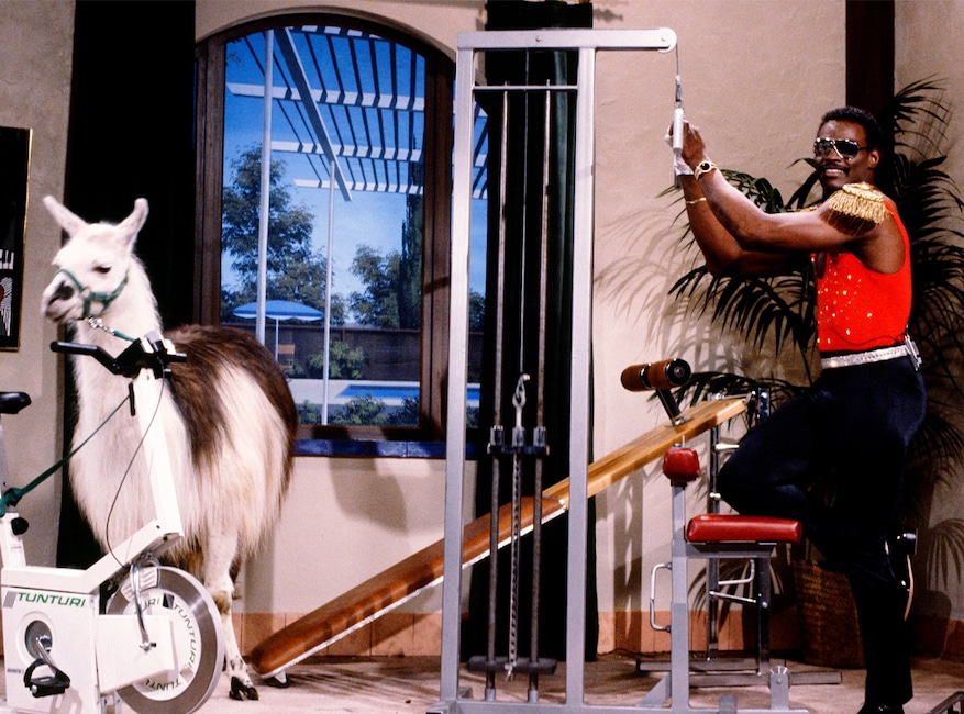 Walter Payton, Saturday Night Live, SNL Sports Star Hosts